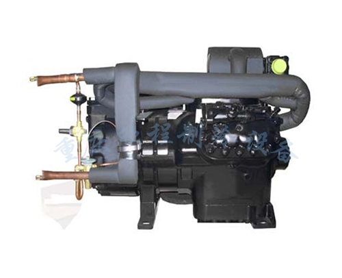 SYL谷轮型半封闭（水冷机组） 6T20-WL 20P 双极 低温