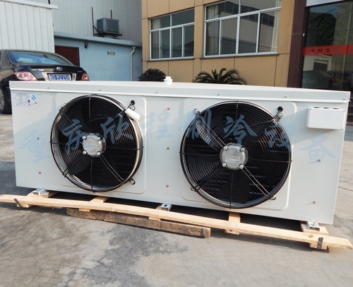 贵州 DJ-20 星宏冷风机（4KW制冷量）带2个电机400MM//低温-25/左右